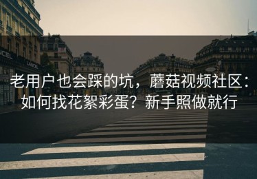 老用户也会踩的坑，蘑菇视频社区：如何找花絮彩蛋？新手照做就行