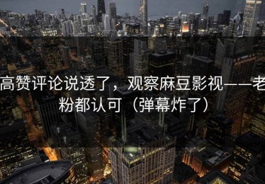 高赞评论说透了，观察麻豆影视——老粉都认可（弹幕炸了）