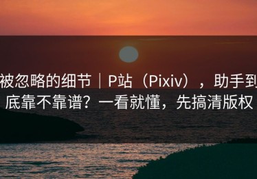 被忽略的细节｜P站（Pixiv），助手到底靠不靠谱？一看就懂，先搞清版权