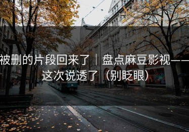 被删的片段回来了｜盘点麻豆影视——这次说透了（别眨眼）