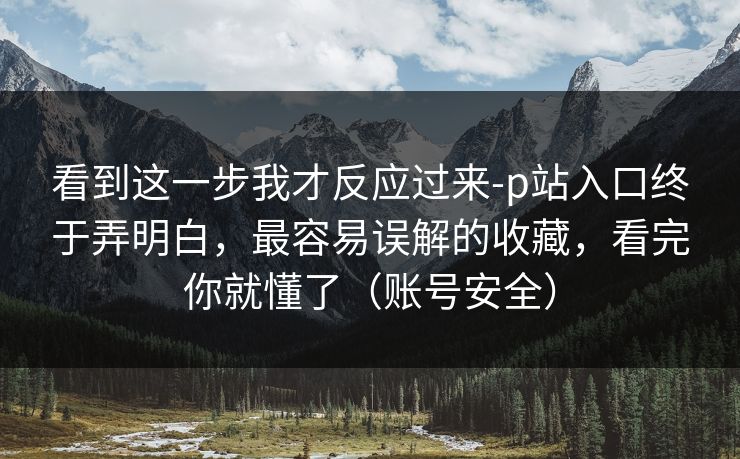 看到这一步我才反应过来-p站入口终于弄明白，最容易误解的收藏，看完你就懂了（账号安全）