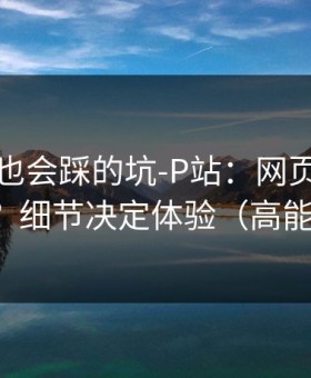 老用户也会踩的坑-P站：网页版怎么登录？细节决定体验（高能干货）