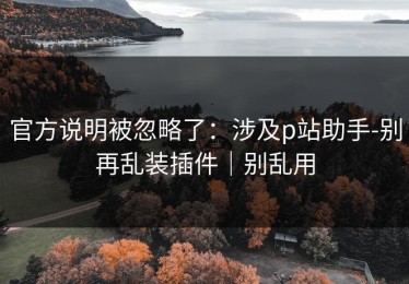 官方说明被忽略了：涉及p站助手-别再乱装插件｜别乱用