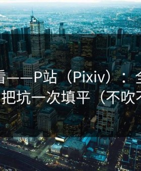 新手必看——P站（Pixiv）：全称是什么？把坑一次填平（不吹不黑）