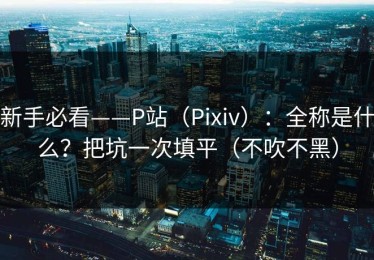 新手必看——P站（Pixiv）：全称是什么？把坑一次填平（不吹不黑）