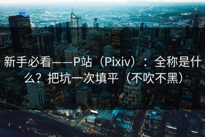 新手必看——P站（Pixiv）：全称是什么？把坑一次填平（不吹不黑）