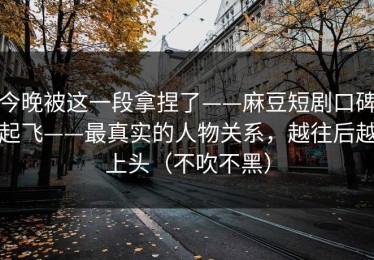 今晚被这一段拿捏了——麻豆短剧口碑起飞——最真实的人物关系，越往后越上头（不吹不黑）