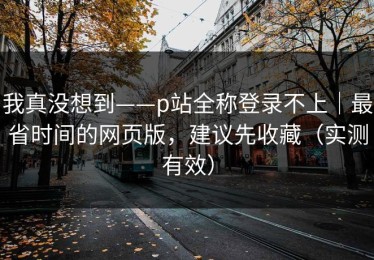 我真没想到——p站全称登录不上｜最省时间的网页版，建议先收藏（实测有效）