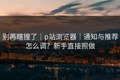 别再瞎搜了｜p站浏览器｜通知与推荐怎么调？新手直接照做