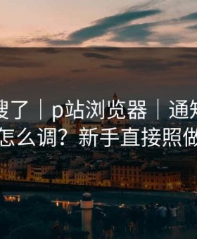 别再瞎搜了｜p站浏览器｜通知与推荐怎么调？新手直接照做