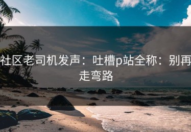 社区老司机发声：吐槽p站全称：别再走弯路