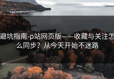 避坑指南-p站网页版——收藏与关注怎么同步？从今天开始不迷路