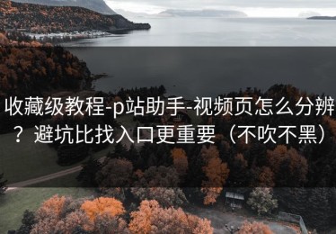 收藏级教程-p站助手-视频页怎么分辨？避坑比找入口更重要（不吹不黑）