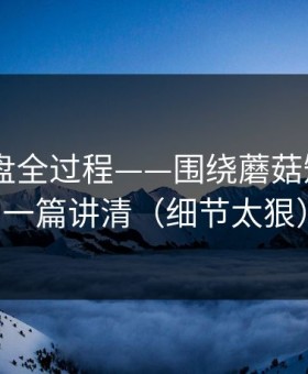 口碑翻盘全过程——围绕蘑菇短剧——一篇讲清（细节太狠）