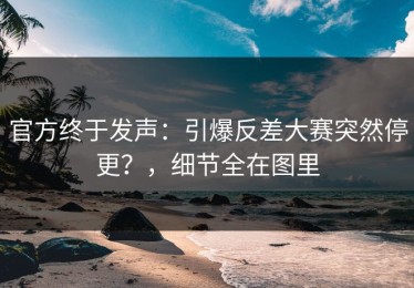 官方终于发声：引爆反差大赛突然停更？，细节全在图里