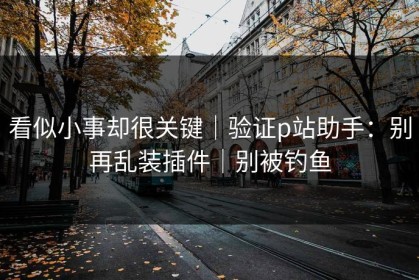 看似小事却很关键｜验证p站助手：别再乱装插件｜别被钓鱼