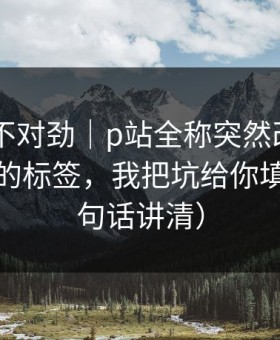 越查越不对劲｜p站全称突然改了——最致命的标签，我把坑给你填平（一句话讲清）