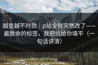 越查越不对劲｜p站全称突然改了——最致命的标签，我把坑给你填平（一句话讲清）