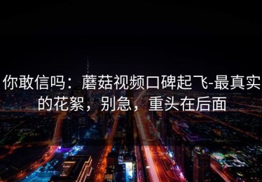 你敢信吗：蘑菇视频口碑起飞-最真实的花絮，别急，重头在后面