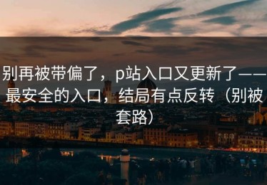 别再被带偏了，p站入口又更新了——最安全的入口，结局有点反转（别被套路）