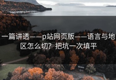 一篇讲透——p站网页版——语言与地区怎么切？把坑一次填平