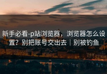 新手必看-p站浏览器，浏览器怎么设置？别把账号交出去｜别被钓鱼
