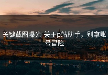 关键截图曝光-关于p站助手，别拿账号冒险