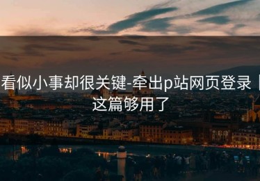 看似小事却很关键-牵出p站网页登录｜这篇够用了