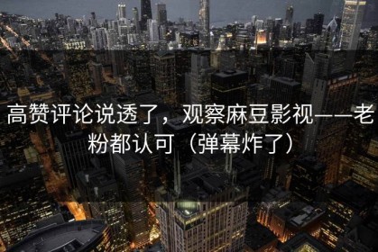 高赞评论说透了，观察麻豆影视——老粉都认可（弹幕炸了）