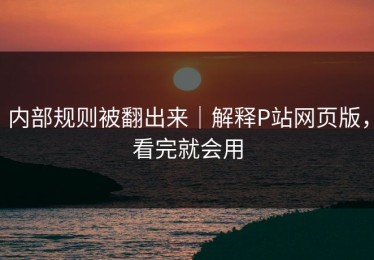 内部规则被翻出来｜解释P站网页版，看完就会用