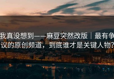 我真没想到——麻豆突然改版｜最有争议的原创频道，到底谁才是关键人物？