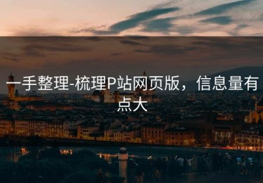 一手整理-梳理P站网页版，信息量有点大