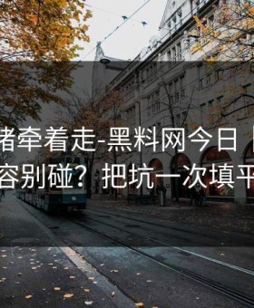 别被情绪牵着走-黑料网今日｜哪些内容别碰？把坑一次填平