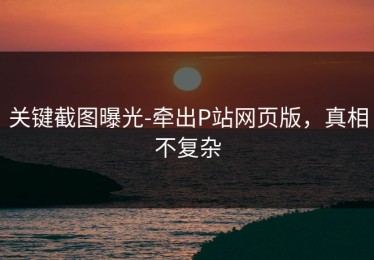 关键截图曝光-牵出P站网页版，真相不复杂