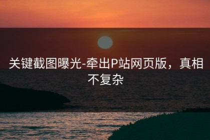 关键截图曝光-牵出P站网页版，真相不复杂