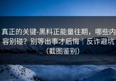 真正的关键-黑料正能量往期，哪些内容别碰？别等出事才后悔｜反诈避坑（截图鉴别）