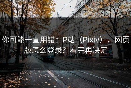 你可能一直用错：P站（Pixiv），网页版怎么登录？看完再决定