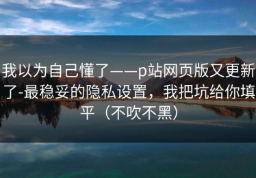 我以为自己懂了——p站网页版又更新了-最稳妥的隐私设置，我把坑给你填平（不吹不黑）