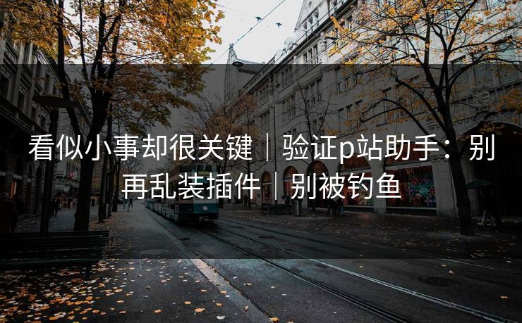 看似小事却很关键｜验证p站助手：别再乱装插件｜别被钓鱼