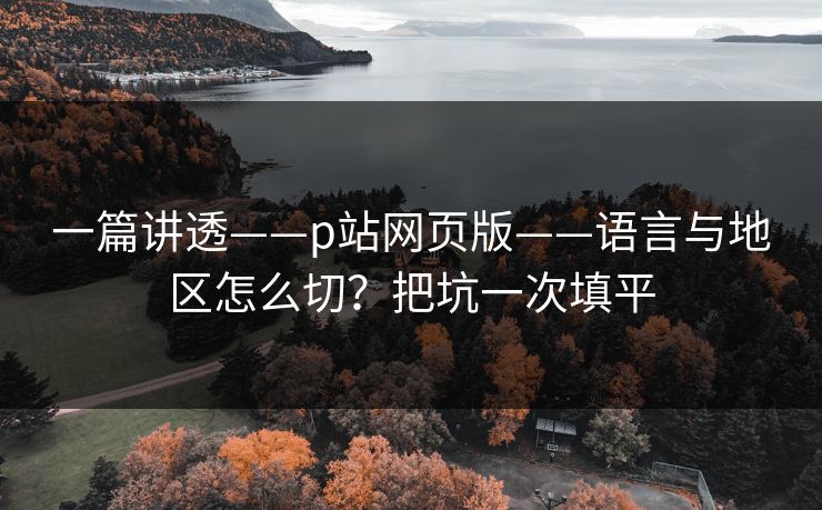 一篇讲透——p站网页版——语言与地区怎么切?把坑一次填平 一篇讲透——p站网页版——语言与地区怎么切?把坑一次填平
