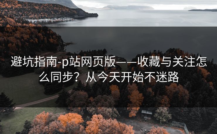 避坑指南-p站网页版——收藏与关注怎么同步?从今天开始不迷路 避坑指南-p站网页版——收藏与关注怎么同步?从今天开始不迷路