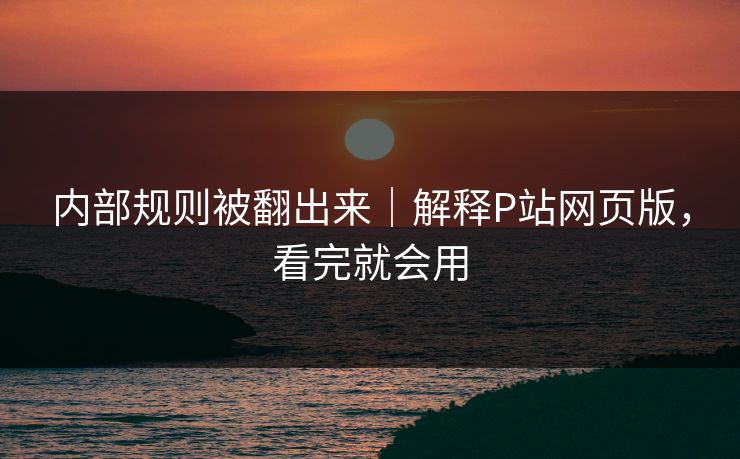 内部规则被翻出来|解释P站网页版,看完就会用 内部规则被翻出来|解释P站网页版,看完就会用