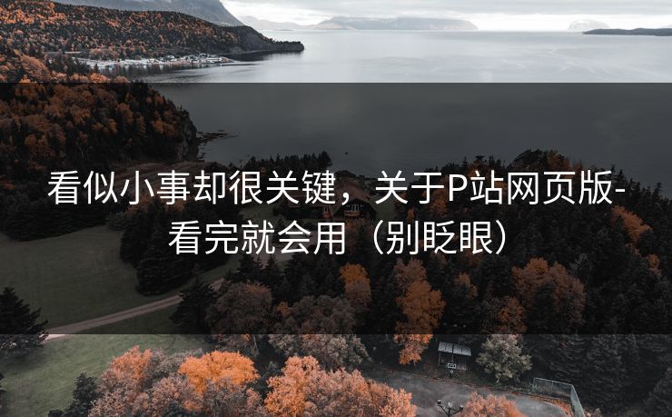 看似小事却很关键,关于P站网页版-看完就会用(别眨眼) 看似小事却很关键,关于P站网页版-看完就会用(别眨眼)