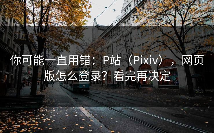 你可能一直用错：P站（Pixiv），网页版怎么登录？看完再决定